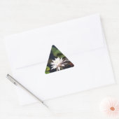 Sticker Triangulaire Lys d'eau (Enveloppe)