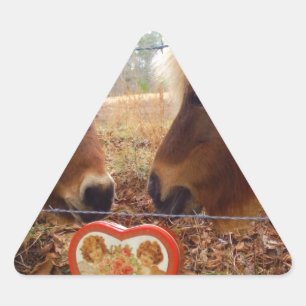 Sticker Triangulaire Miniature Donkey & Horse Valentine Heart