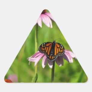 Sticker Triangulaire Monarch butterfly on a purple coneflower