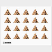 Sticker Triangulaire Motif Cheetah (Feuille)