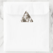Sticker Triangulaire Motif de portrait Beethoven (Sac)