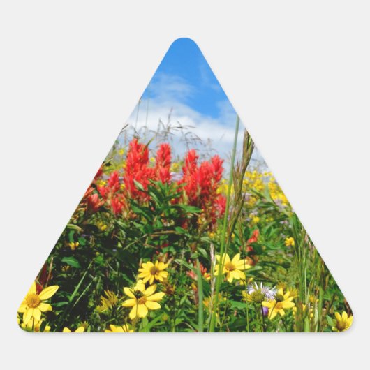 Sticker Triangulaire Mt. Fleur sauvage (Devant)
