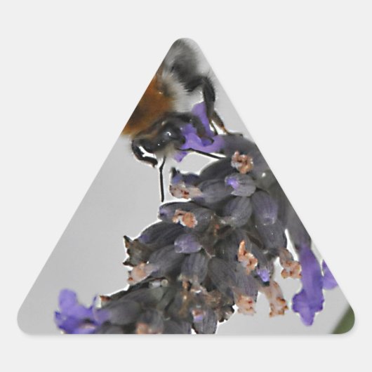 Sticker Triangulaire Natures de merveilleux travailleurs (Devant)