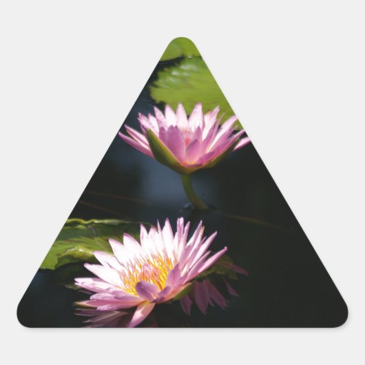 Sticker Triangulaire Nénuphars de Lotus violets roses (Devant)