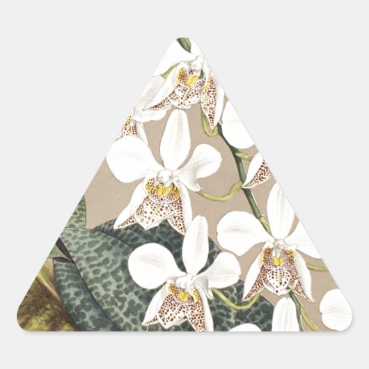 Sticker Triangulaire Orchidées (Devant)