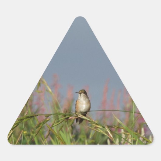 Sticker Triangulaire Petit colibri gras (Devant)