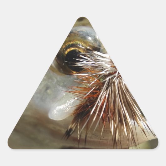 Sticker Triangulaire Photo Rainbow Trump (Devant)