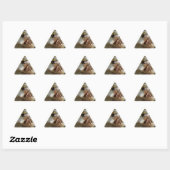 Sticker Triangulaire Photo Rainbow Trump (Feuille)