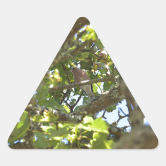 Sticker Triangulaire Pinson des arbres