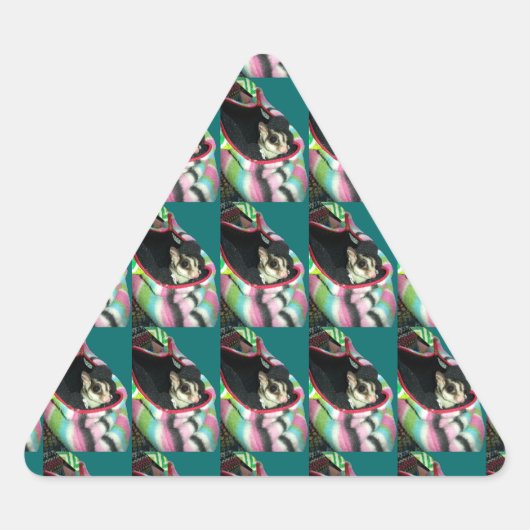 Sticker Triangulaire Planeur à sucre portant un Casquette (Devant)