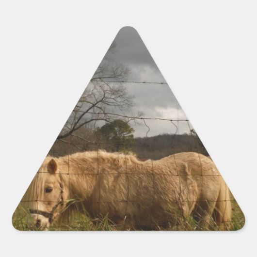 Sticker Triangulaire Poney miniature blond / Cheval (Devant)
