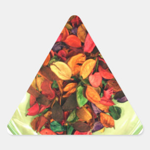 Sticker Triangulaire Pot-pourri Coloré : Un Affichage Parfumé