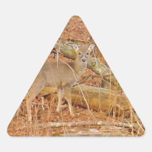 Sticker Triangulaire Premier hiver du Cerf de Bébé (Devant)