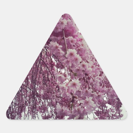 Sticker Triangulaire Printemps (Devant)