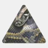 Sticker Triangulaire "Python royal" (Devant)