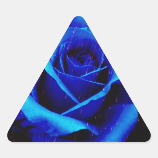 Sticker Triangulaire Rose bleu spectaculaire (Devant)