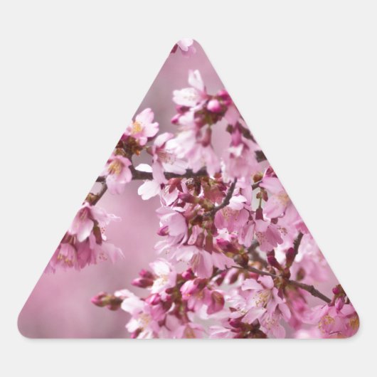 Sticker Triangulaire Sakura Cherry Blossoms Pastel Pink Layers (Devant)
