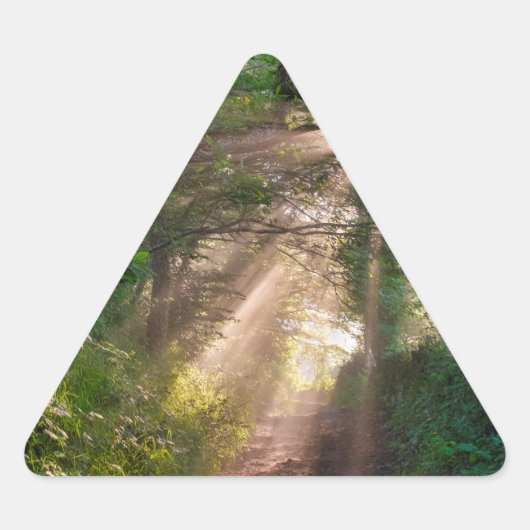 Sticker Triangulaire sentier forestier (Devant)