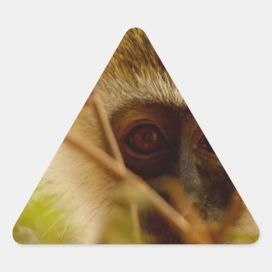 Sticker Triangulaire Singe Cheeky. (Devant)