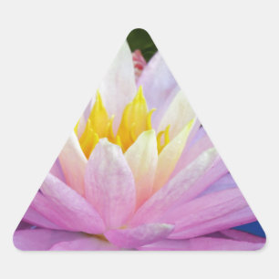 Sticker Triangulaire Soft Pink Waterlily