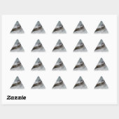 Sticker Triangulaire Spray (Feuille)