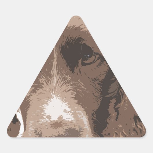 Sticker Triangulaire Springer anglais (Devant)