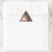 Sticker Triangulaire Springer anglais (Sac)