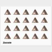 Sticker Triangulaire Springer anglais (Feuille)