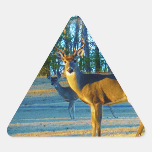 Sticker Triangulaire Stade / Buck Deer, Ciel bleu clair (Devant)