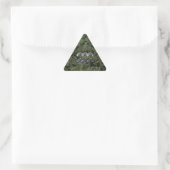 Sticker Triangulaire SYMBOLE Zodiaque Aquarius Camouflage numérique ver (Sac)