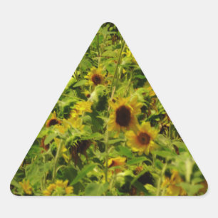 Sticker Triangulaire Terrain de tournesol