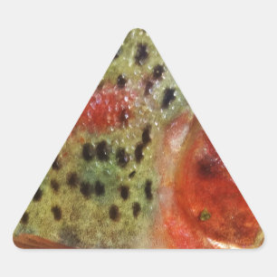 Sticker Triangulaire Truite en main