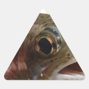 Sticker Triangulaire Truite en main