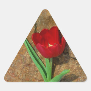 Sticker Triangulaire Tulipe jaune et rouge
