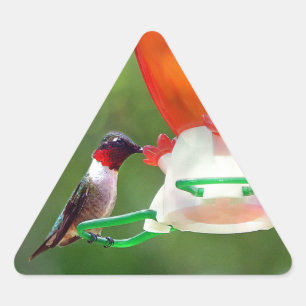 Sticker Triangulaire Un colibri à gorge rubis