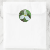 Sticker Trillium (Sac)