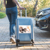 Sticker Trois beaux et mignons chatons aquarelle (Valise Insitu)