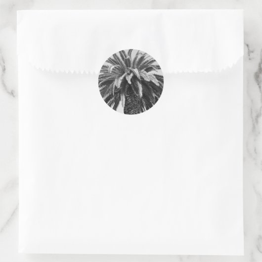 Sticker Tropical Palm Tree (Sac)