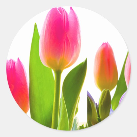 Sticker Tulip (Devant)
