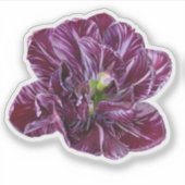Sticker Tulipe Florale Lila Violet (Devant)