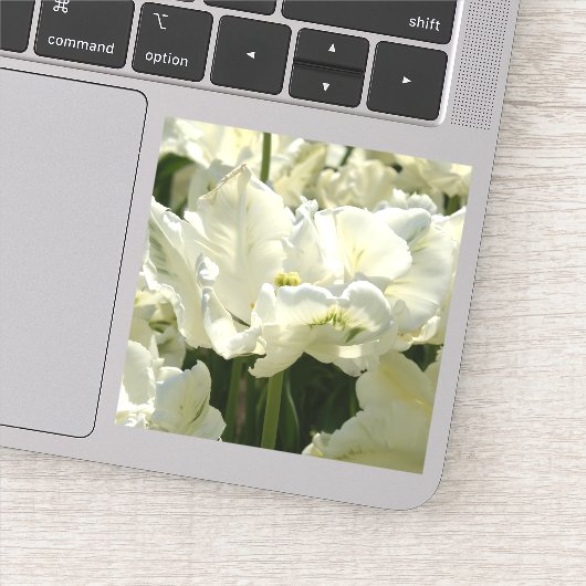Sticker Tulipes blanches (Détail)