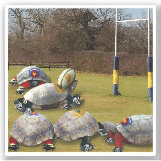 Sticker Turtle Rugby Sports (Devant)