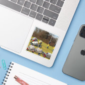 Sticker Turtle Rugby Sports (Ordinateur portable avec iPhone)