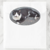Sticker Tuxedo Cat (Sac)