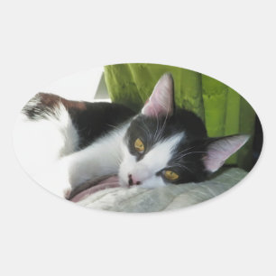 Sticker Tuxedo Cosy