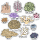 Sticker Types De Corail (Devant)