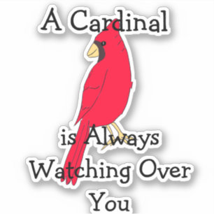 Sticker Un Cardinal Vous Observe Toujours