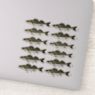 Sticker Un douzaine poissons de Pike de brochets vairons