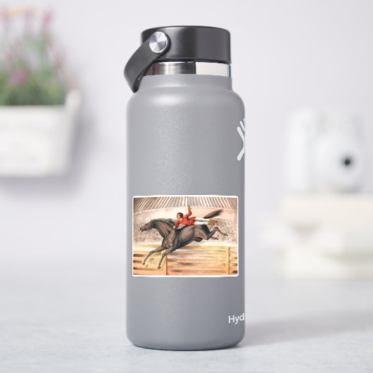 Sticker Un Interprète De Cirque À Cheval De Voûte (HydroFlask)
