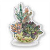 Sticker Un pot de succulents (Devant)